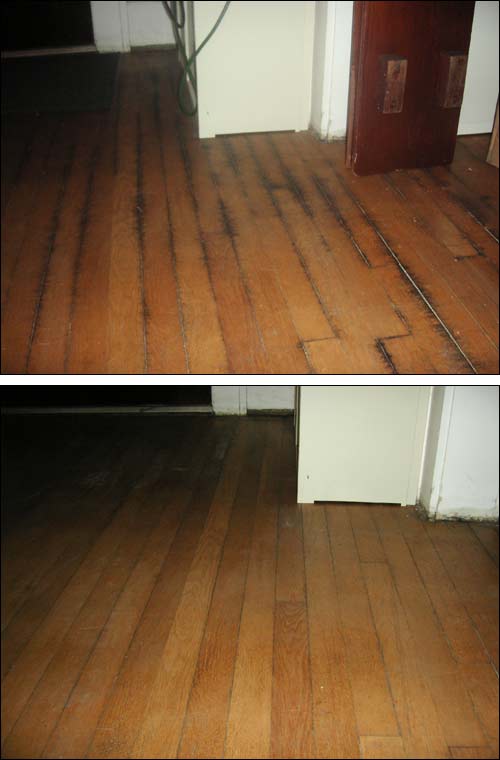 Moldy floors are no match for sodium percarbonate Moldy floors are no match for sodium percarbonate